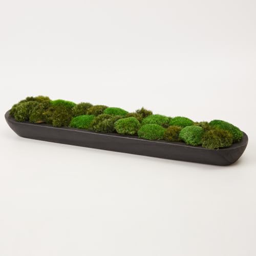 2 Color Mix Pack Preserved Pole Moss Pillow Bun Cushion Natural Decorative Green DIY Kit Art Wall Decor Florist Decor Easter Table Decor Wedding(1.5 sq.ft, Green-A,Green-B) - Image 2
