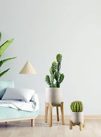Serene Spaces Living Minimalist Cement Planter with Wooden Legs – Sleek Planter for Succulents, Cacti, Indoor Greenery, Versatile, Durable Plant Pot for Home or Office, 8" Diameter & 9" Tall - Image 4
