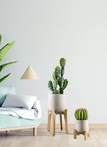 Serene Spaces Living Minimalist Cement Planter with Wooden Legs – Sleek Planter for Succulents, Cacti, Indoor Greenery, Versatile, Durable Plant Pot for Home or Office, 8" Diameter & 9" Tall - Image 4