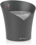 Lechuza 13961 ORCHIDEA Self-Watering Planter for Indoor and Outdoor Use, 7.2" x 7" x 7.7", Slate Matte by LECHUZA