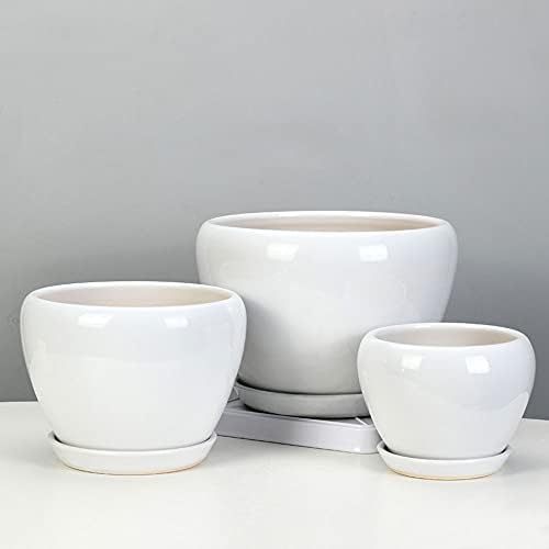 White Ceramic Plant Pots with Drainage and Saucers, Round Modern Indoor Flower Pots Set for Cactus, Succulents, Herbs, for Home, Office, Balcony (14.5cm*12.5cm) - Image 5