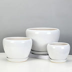 White Ceramic Plant Pots with Drainage and Saucers, Round Modern Indoor Flower Pots Set for Cactus, Succulents, Herbs, for Home, Office, Balcony (18.5cm*16cm) - Image 5