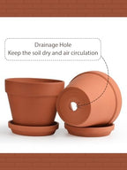 INGOFIN Terracotta Pots Set with Saucer - 2-Pack Ceramic Clay Planters with Drainage Hole, Garden Flower Succulent Pots with Tray for Indoor Outdoor Plants, 8 inch, Set of 2 - Image 3