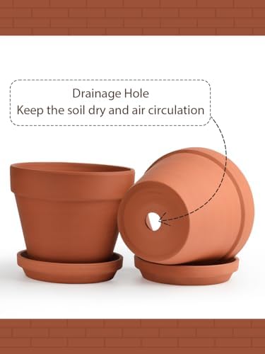 INGOFIN Terracotta Pots Set with Saucer - 2-Pack Ceramic Clay Planters with Drainage Hole, Garden Flower Succulent Pots with Tray for Indoor Outdoor Plants, 8 inch, Set of 2 - Image 3