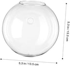 4pcs Wall Propagation Planters Glass Globe Hanging Terrarium Station Transparent Glass Vases for Hydroponics Plants Home Office Living Decor - Image 2