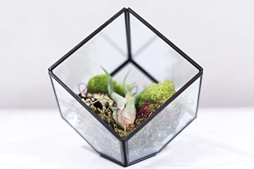 WGV Geometric Planter Terrarium Bulk, Width 8" Height 8.5" Clear Glass Black Frame DIY Succulent air Plant Miniature Fairy Garden Windowsill Tabletop Decor, Tilted Cube 12 Pieces - Image 4