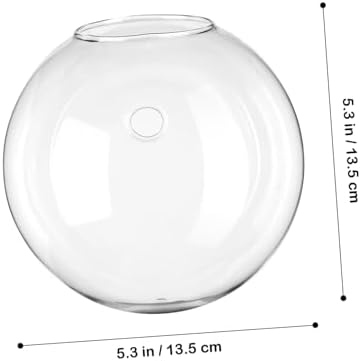 VICASKY 4pcs Hanging Glass Vase Wall Decor Vases Plant Watering Globes for Indoor Houseplants Wall Propagation Planters - Image 2