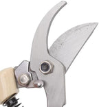 5PCS Bonsai Tool Kit, Carbon Steel Professional Bonsai Starte Set Tree Pruning Tools Cutter Scissor for Potted Plant Pruning - Image 7