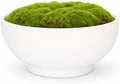 Ceramic Moss Bowl | 10 Inch | Artificial Moss Centerpiece | Minimalist Decorative Bowl by Unknown