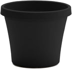 Bloem Terra 4" Plastic Planter, 0.25 Gallon, Black, 10-Pack - Image 4