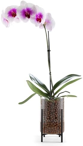 Pot & Pebble C8 Glass Orchid Pot, Metal Base - LECA Semi-Hydro Planter by PotPebble