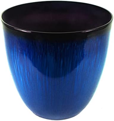 Gardener Select (EPR15-204) Large Egg Shaped Planter - Modern Indoor & Outdoor Decorative Flower Pot/Box (15 Inch, Blue Flower) by GardenerSelect