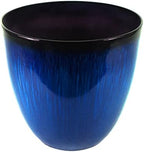 Gardener Select (EPR15-204) Large Egg Shaped Planter - Modern Indoor & Outdoor Decorative Flower Pot/Box (15 Inch, Blue Flower) by GardenerSelect