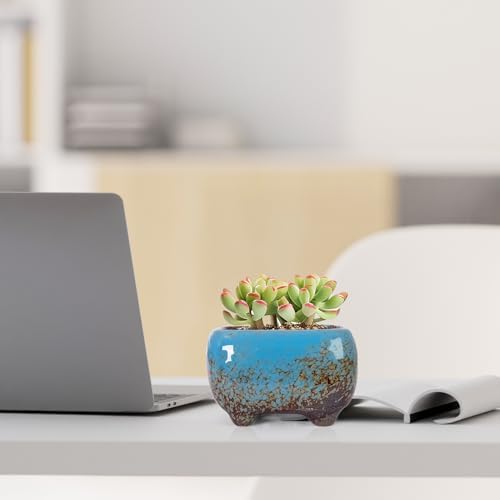 ARTKETTY Succulent Pots, Small Plant Pots with Drainage Set of 6 - Image 7
