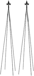 Achla Designs FT-21 Fleur-de-lis, 78-Inch Wrought Iron Garden Stake Trellis, Black (Pack of 2) by ACHLADesignsHomeGarden