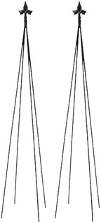 Achla Designs FT-21 Fleur-de-lis, 78-Inch Wrought Iron Garden Stake Trellis, Black (Pack of 2) by ACHLADesignsHomeGarden