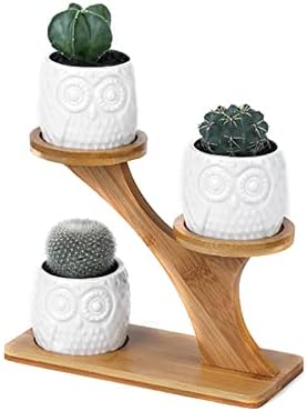 HASMI Plant pots 1 Set Ceramic Owl Garden Pots Pumpkin Flowerpot Nursery Succulent Plant Pot 3 Bonsai Planters with 3-Tier Shelf Flower Pots (Color : 1) by Unknown