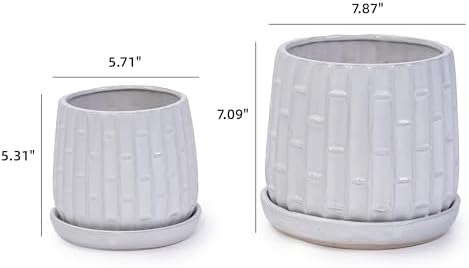 6" Glazed Ceramic Planter Set with Bamboo Texture, White - Image 2