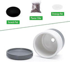 D'vine Dev 4-Pack Ceramic Pots with Saucers, White/Grey, 3.5 in, 94-X-A-6 - Image 4