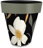 Briarwood Lane Everyday Planter 14" x 15" x 15" Elegant Flowers Large Planter by BriarwoodLane