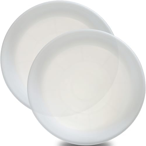 2 Pack of 16 inch Plant Saucer, Large Plant Tray, Heavy Sturdy Plant Drainage Tray for Indoors, Bird Bath Bowls, Sturdy 18 inch Plastic Pot Tray for Planter Clear by Unknown
