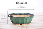 Willow Bonsai Ceramics Flower Design Bonsai Pot 6.5 Inch – Elegant Ceramic Bonsai & Succulent Planter, High‑Fired Frost‑Proof Stoneware with Drainage & Wiring Holes, Handmade in USA (Avocado) - Image 4