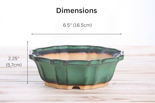 Willow Bonsai Ceramics Flower Design Bonsai Pot 6.5 Inch – Elegant Ceramic Bonsai & Succulent Planter, High‑Fired Frost‑Proof Stoneware with Drainage & Wiring Holes, Handmade in USA (Avocado) - Image 4