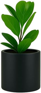 Fox & Fern Large Planter for Indoor or Outdoor, Matte Black, 10 Inch by FoxFern