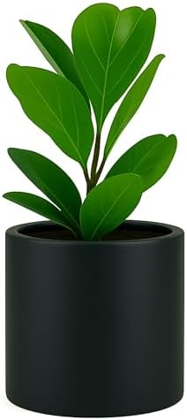 Fox & Fern Large Planter for Indoor or Outdoor, Matte Black, 10 Inch by FoxFern