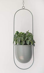 RISEON Boho Green Metal Plant Hanger,Metal Wall and Ceiling Hanging Planter, Modern Planter, Mid Century Flower Pot Plant Holder, Minimalist Planter for Indoor Outdoor Home Decor - Image 2