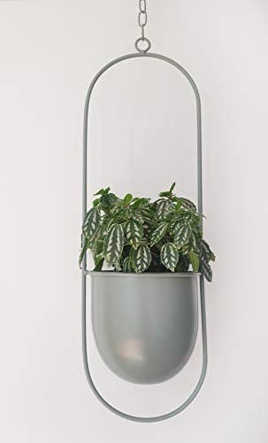RISEON Boho Green Metal Plant Hanger,Metal Wall and Ceiling Hanging Planter, Modern Planter, Mid Century Flower Pot Plant Holder, Minimalist Planter for Indoor Outdoor Home Decor - Image 2