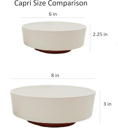 The HC Companies 8 Inch Round Plastic Succulent Capri Bowl Decorative Indoor Flower Succulent Planter Pot with Drain Plug Hole, Vanilla Bisque (2 Pack) - Image 6