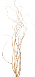 Richland Natural Curly Willow Branches 3'-4' Bundle Set of 6 by Richland