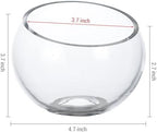 MyGift 5 Inch Clear Glass Round Bowl Air Plant Terrariums, Set of 4 - Image 5