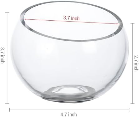 MyGift 5 Inch Clear Glass Round Bowl Air Plant Terrariums, Set of 4 - Image 5