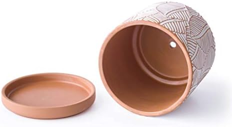 D'vine Dev Set of 2 Terracotta Pots, Broadleaf Pattern Planter, 31-958-H-1 - Image 2