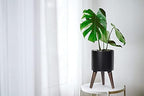 D'vine Dev 8 Inch Planter Pot with Wood Stand, Black, 88-O-A-2 - Image 2