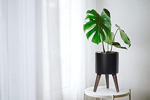 D'vine Dev 8 Inch Planter Pot with Wood Stand, Black, 88-O-A-2 - Image 2