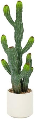 32” Artificial Cactus Plants, Tall Artificial Plants Outdoor, Tall Fake Cacti Plant UV-Resistant in White Pot, Faux Floor Plants for Indoor Home Office Hotel Bedroom Patio Balcony Garden by Keeplush