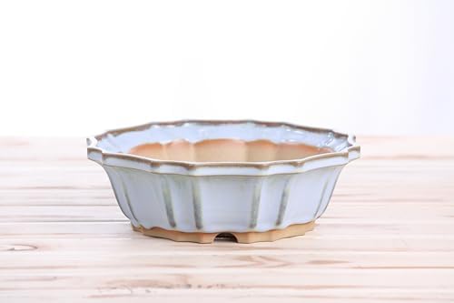 Willow Bonsai Ceramics Flower Design Bonsai Pot 8 Inch – Elegant Ceramic Bonsai & Succulent Pot, High‑Fired Frost‑Proof Stoneware with Drainage+Wiring Holes, Handmade USA (Glacier, 8inch) - Image 2