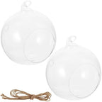 2pcs Globe Hanging Terrarium Glass Flower Plant Display for Patio by Milisten