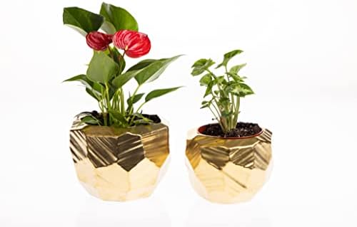 Gold Geometric Ceramic Pot for Plant and Flowers | Gold Ceramic Planter l Indoor and Outdoor Planter for Any Event Decoration (Gold (6” x 4.75”)) (CGB3905GD) - Image 4