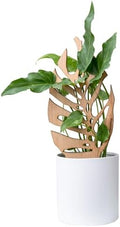 Treleaf Bare™ Monstrella™ – Customizable Wooden Monstera Leaf Plant Trellis – Grande Size 24” Indoor Plant Support and Decorative Houseplant Stake for Potted Climbing Plants by TRELEAF