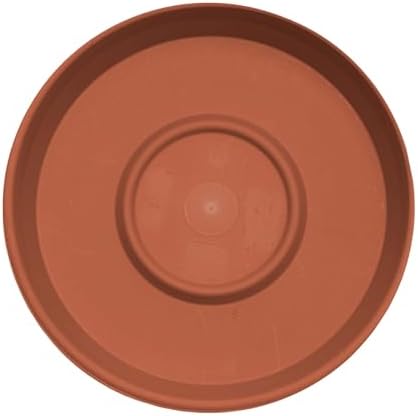 Bloem Terra Plastic Saucer Tray for 6" Terra Planters, Terra Cotta, 10-Pack - Image 4