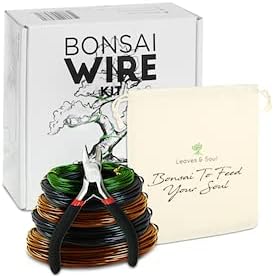 Leaves & Soul Bonsai Starter Kit for Bonsai Tree Complete Set for Beginners - Image 5