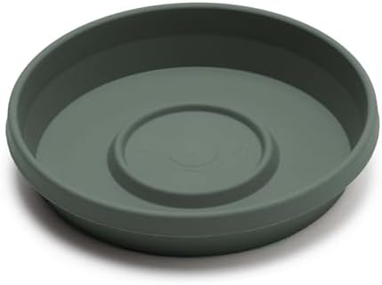 Bloem Terra Plastic Saucer Tray for 10" Terra Planters, Basil, 6-Pack - Image 3