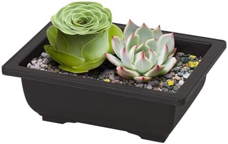 MANCHAP 20 PCS 8.9 Inch Plastic Bonsai Training Pots, Rectangular Bonsai Tree Planter Pot for Garden, Yard, Office, Home Decorative - Image 6