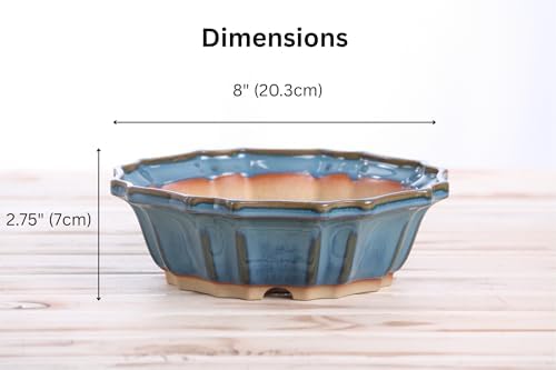 Willow Bonsai Ceramics Flower Design Bonsai Pot 8 Inch – Elegant Ceramic Bonsai & Succulent Planter, High‑Fired Frost‑Proof Stoneware with Drainage & Wiring Holes, Handmade in USA (Peacock 2025) - Image 4