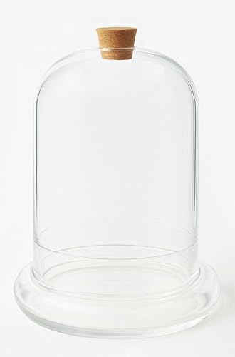 Handblown 12" Glass Terrarium with Opening for Air Flow & Cork Stopper Cloche Style Glass Dome Vivarium Display Case (Extra Large) by Wavy+Studio