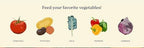 True Organic Tomato & Vegetable Food – Organic Fertilizer for Superior Harvests with 6% Calcium – 8lb Bag Covers 140 sq. ft. - Image 2